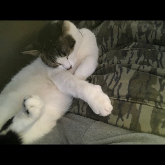 Meet your Posher, Katie - Picture 1 of 1